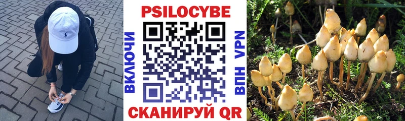 Галлюциногенные грибы GOLDEN TEACHER  как найти закладки  дарк нет клад  Зуевка 